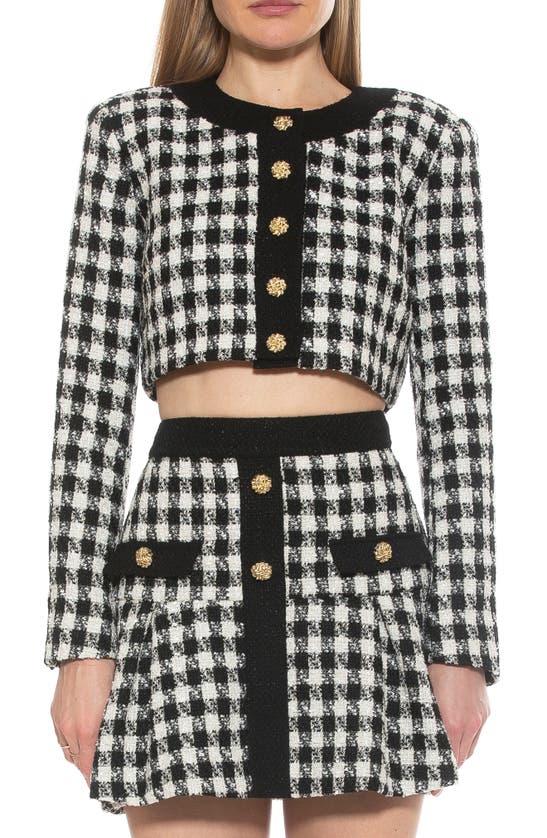 Alexia Admor Cropped Tweed Jacket In Black/ White