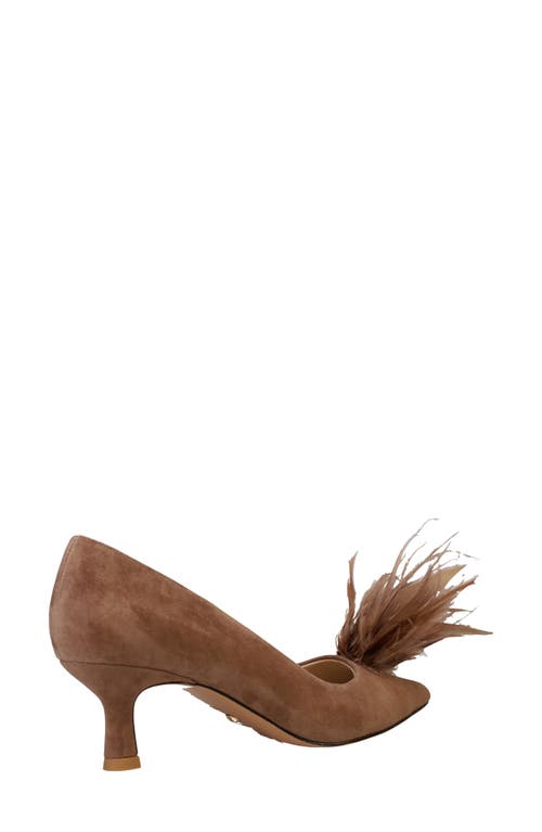 Shop Pelle Moda Kealie Pointed Toe Pump In Taupe