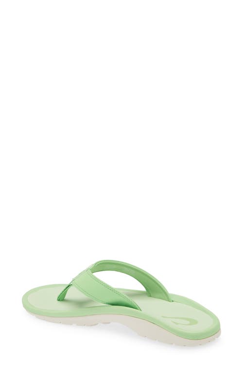 Shop Olukai Ohana Flip Flop In Frog/frog