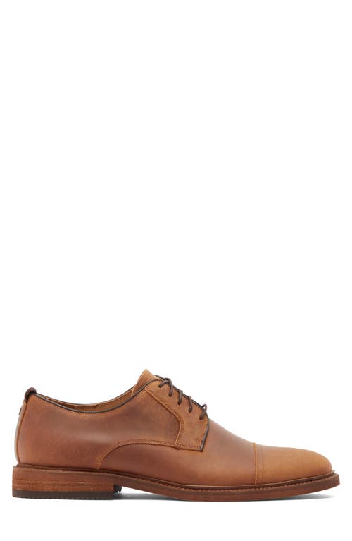 Warfield & Grand Weston Derby In Cognac