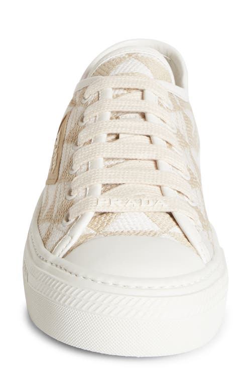 Shop Prada Triangle Jacquard Low Top Sneaker In Beige/white