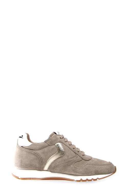 Shop Voile Blanche Julia Genuine Shearling Jogger Sneaker In Beige Platino