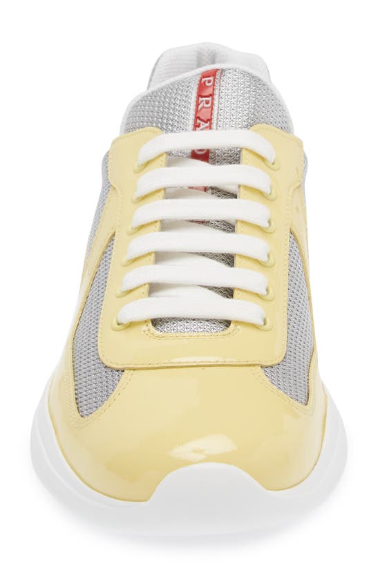 Shop Prada America's Cup Sneaker In Limone/ Argento