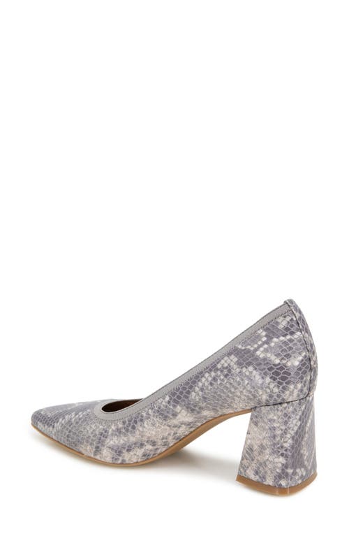 Shop Gentle Souls By Kenneth Cole Dionne Pointed Toe Pump In Taupe Snake Leather