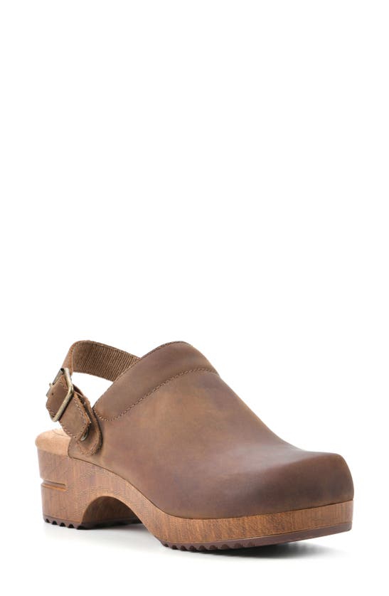 White Mountain Footwear White Mountain Being Buckled Leather Clog In Brown/ Leather
