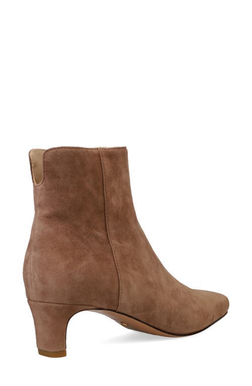 Pelle Moda Galia 2 Bootie In Taupe