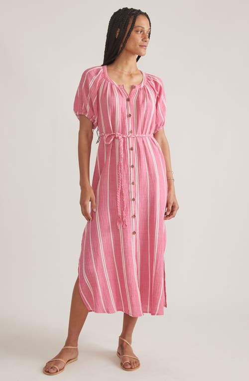 Marine Layer Stripe Belted Double Cloth Midi Shirtdress In Fuschia Stripe