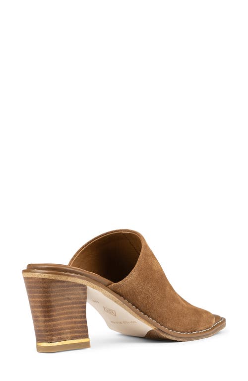 Shop Donald Pliner Jaylyn Slide Sandal In Saddle