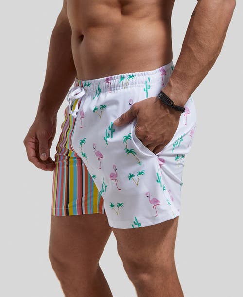 Shop Strangers Only Natures Stripes Swim Short In White/stripes