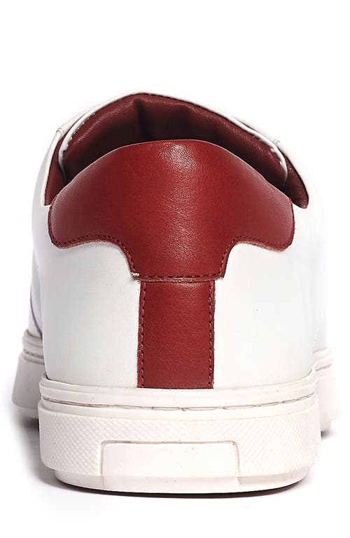 Anthony Veer Men's Kips Low-top Fashion Sneakers In White
