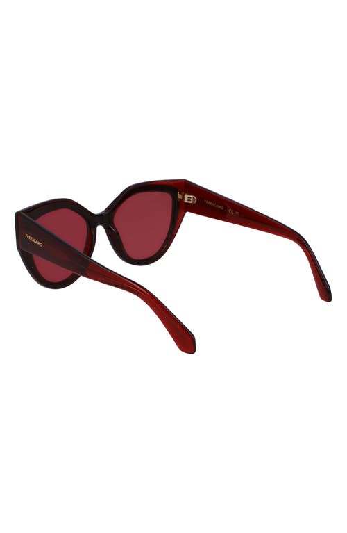 Shop Ferragamo Classic Logo 53mm Cat Eye Sunglasses In Transparent Burgundy/burgundy