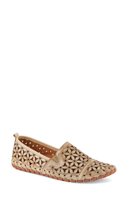 Spring Step Flowerflow Flat In Beige