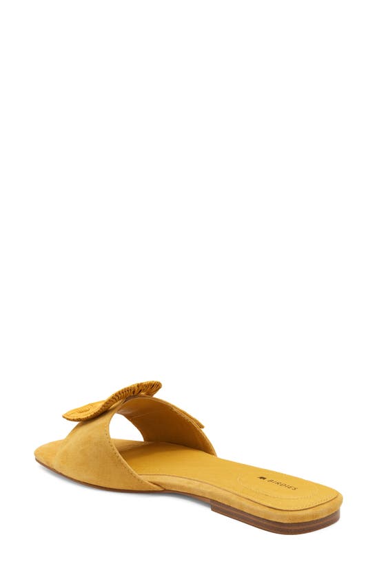 Shop Birdies Kiwi Slide Sandal In Sunflower Suede