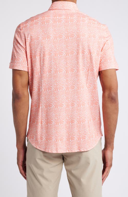 Shop Emanuel Berg 4flex Modern Fit Leaf Print Short Sleeve Knit Button-up Shir In Bright Pink