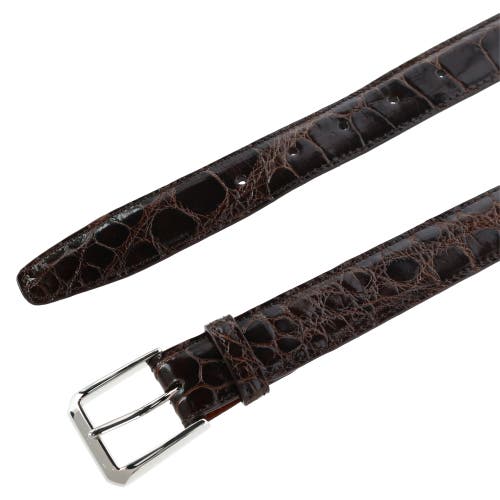 Shop Trafalgar Classic 30mm Genuine Glazed Alligator Belt In Dark Brown