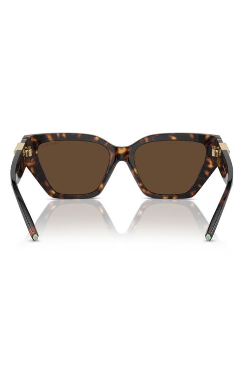 Shop Tiffany & Co . 55mm Cat Eye Sunglasses In Havana