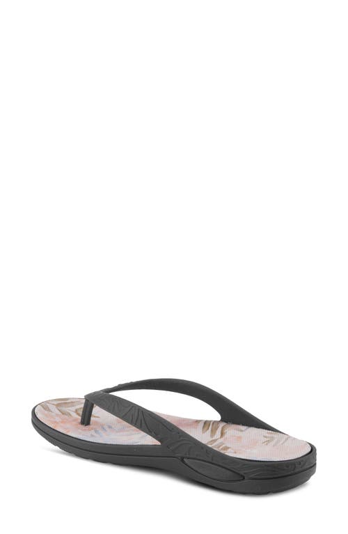 Shop Spring Step Contilo Flip Flop In Black