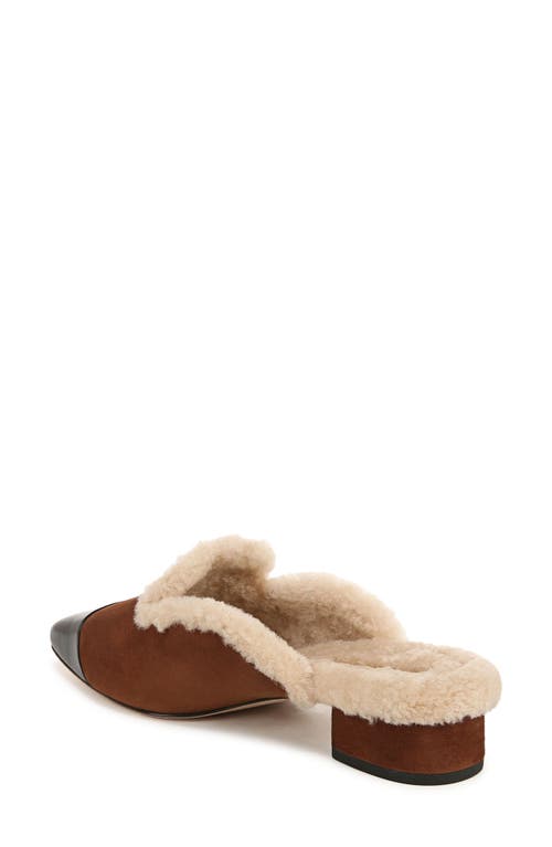 Shop Veronica Beard Cecile Genuine Shearling Mule In Cedar/black