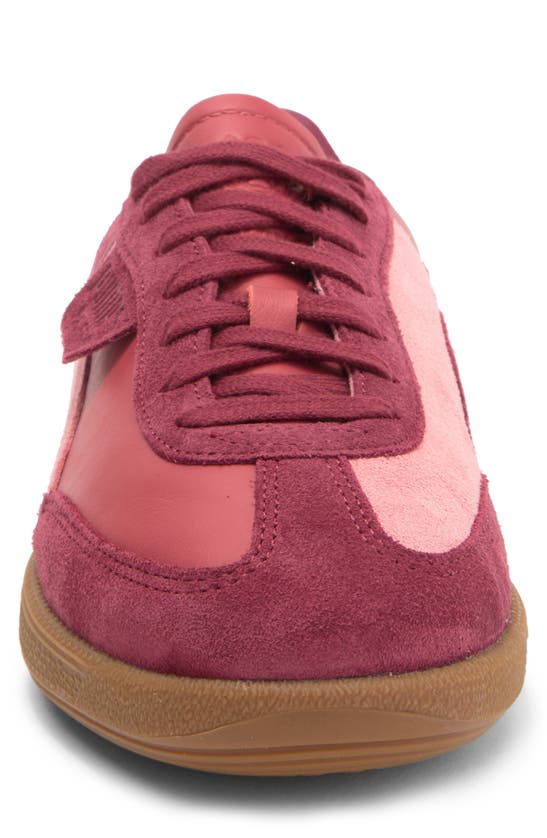 Shop Puma Palermo Sneaker In Regal Red-passionfruit-red