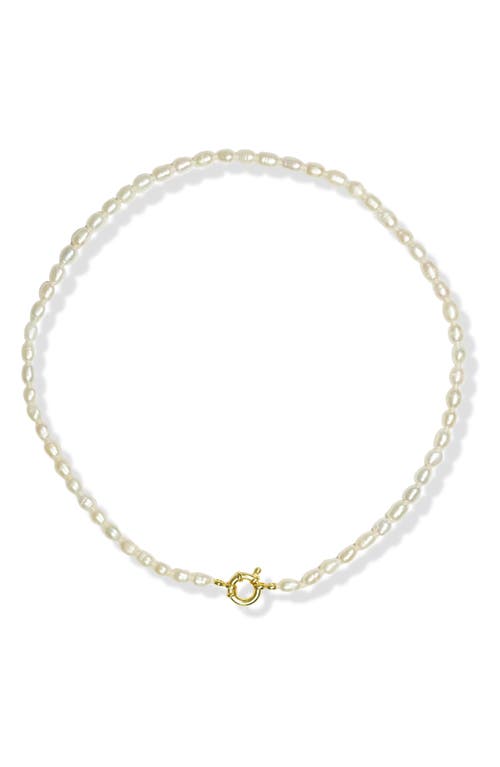 Argento Vivo Sterling Silver Freshwater Pearl Necklace in Gold at Nordstrom