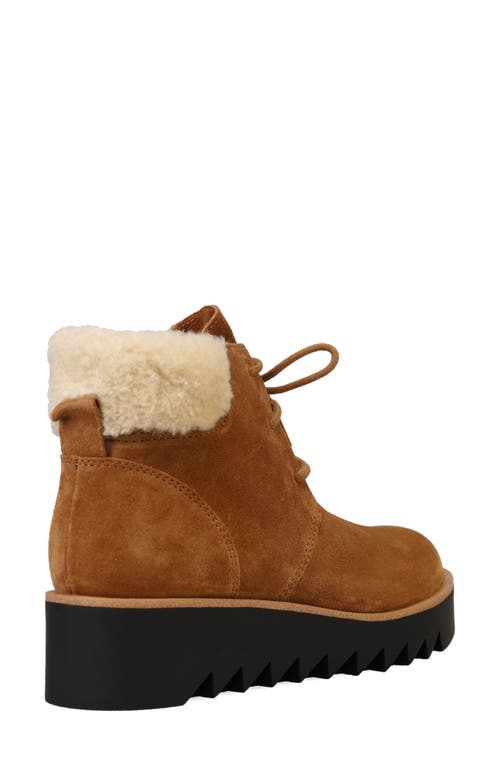 Shop Eileen Fisher Kenille Genuine Shearling Trim Wedge Bootie In Syrup