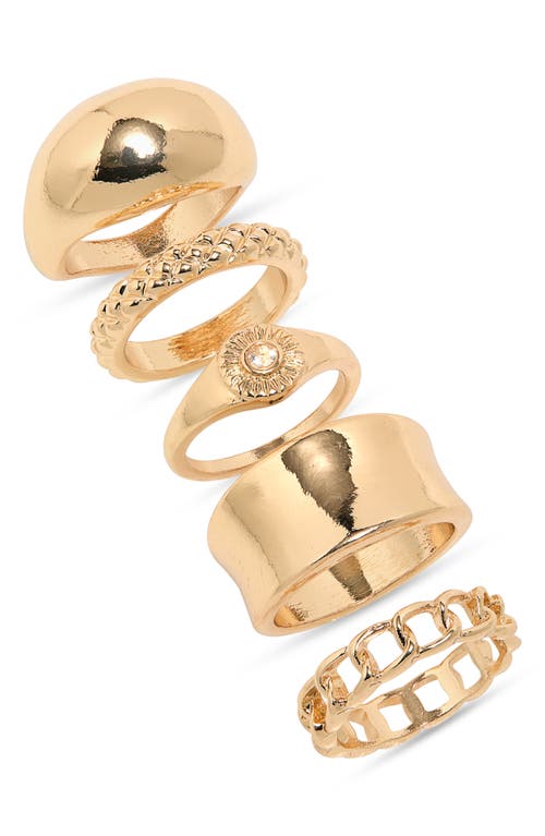 Set of 5 Signet Rings in Gold