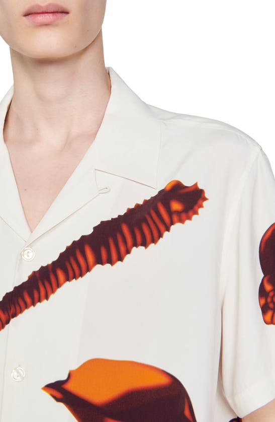 Shop Sandro Shells Print Short Sleeve Button-up Shirt In Ecru