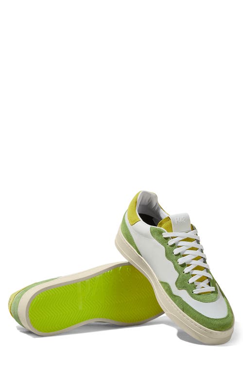 P448 Bali Low Top Sneaker In White/green