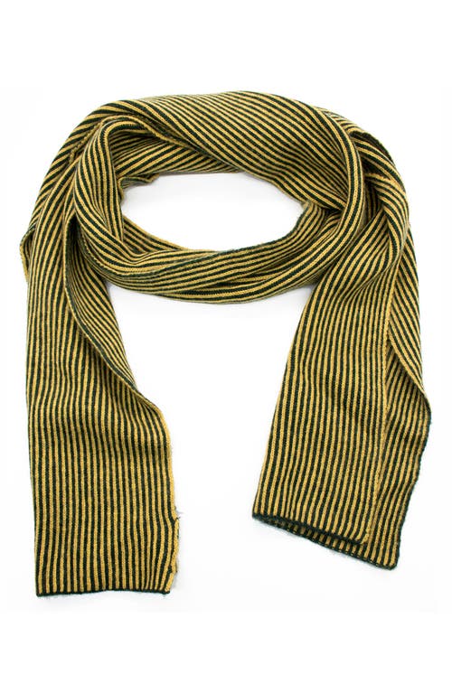 Portolano Stripe Knit Scarf In Forest/mustard