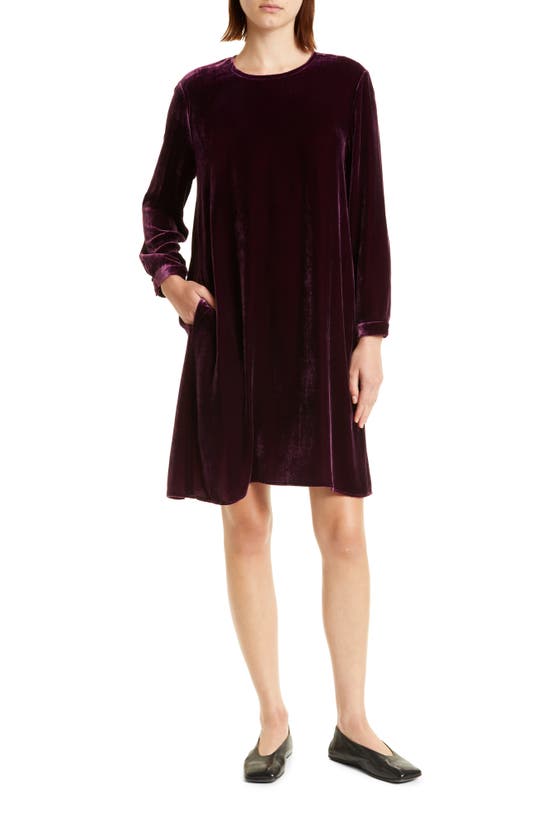 Eileen Fisher Long Sleeve Velvet Shift Dress In Sweet Plum
