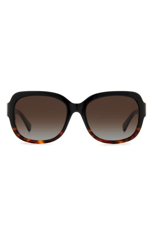 Kate Spade New York laynes 55mm gradient sunglasses in Black Havana/Brown Polar at Nordstrom