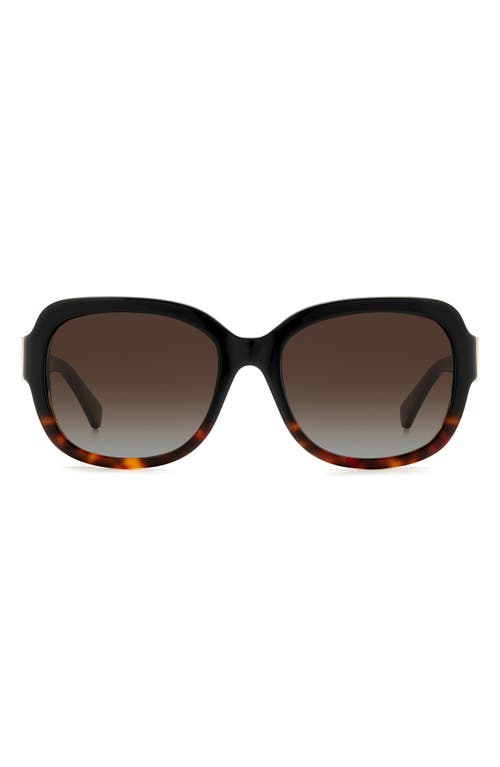Kate Spade New York Laynes 55mm Gradient Sunglasses In Black Havana/brown Polar