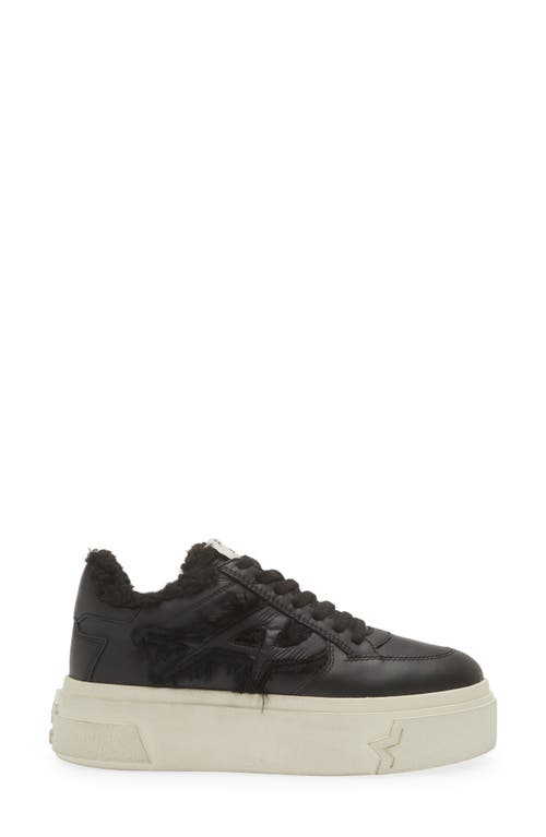 Shop Ash Sailor Platform Sneaker In Black/black