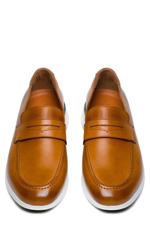 Shop Wolf & Shepherd Crossover™ Loafer In Honey/white