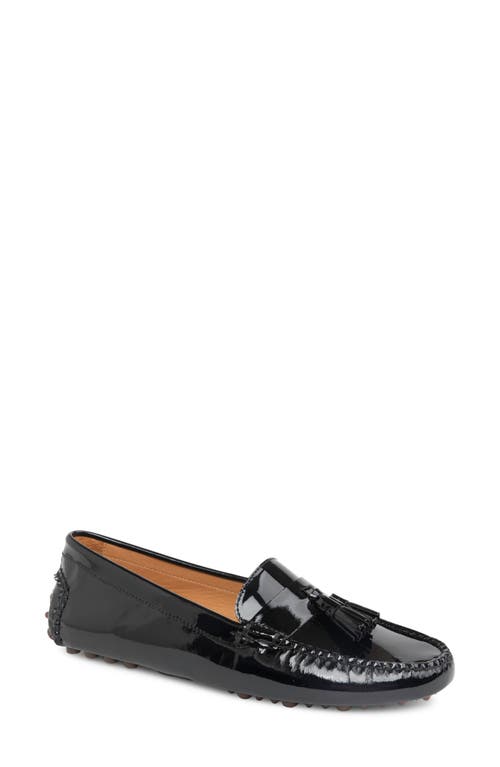 Patricia Green Jordan Moc Toe Tassel Loafer In Black Patent