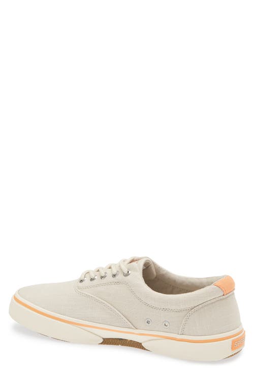 Sperry Top-sider® Sperry Halyard Cvo Canvas Sneaker In Linen Grey