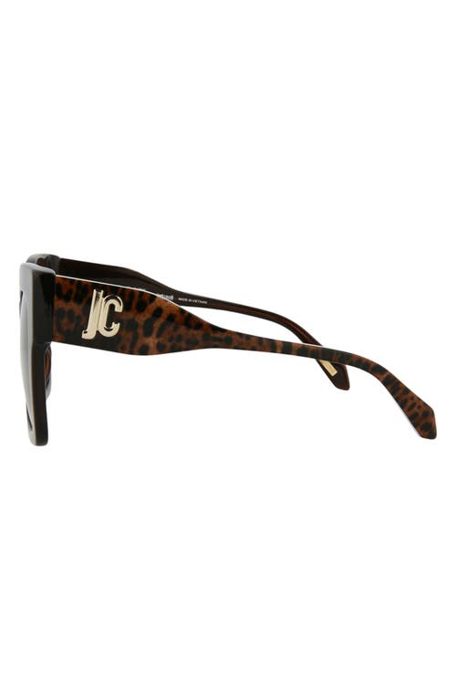 Just Cavalli Square-frame Acetate Sunglasses In Brown Brown Brown