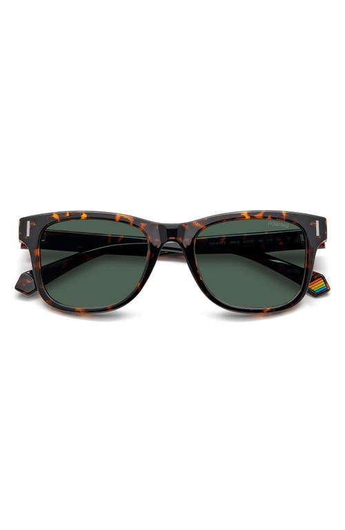 Shop Polaroid 51mm Polarized Square Sunglasses In Havana/green Polarized