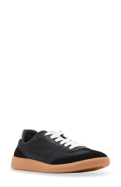 Shop Steve Madden Duo Sneaker In Black