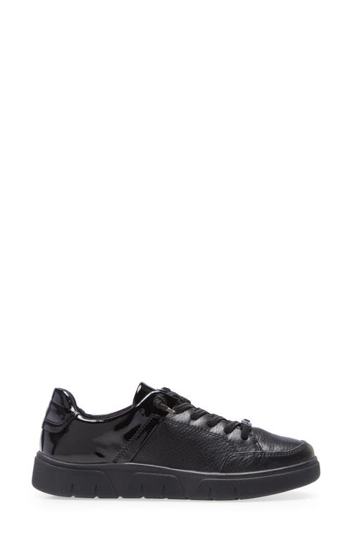 Shop Ara Regina Sneaker In Black Gauchosoft/murano Lack