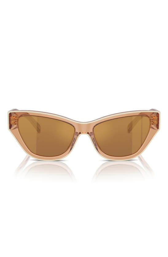 Shop Tory Burch 54mm Cat Eye Sunglasses In Brown