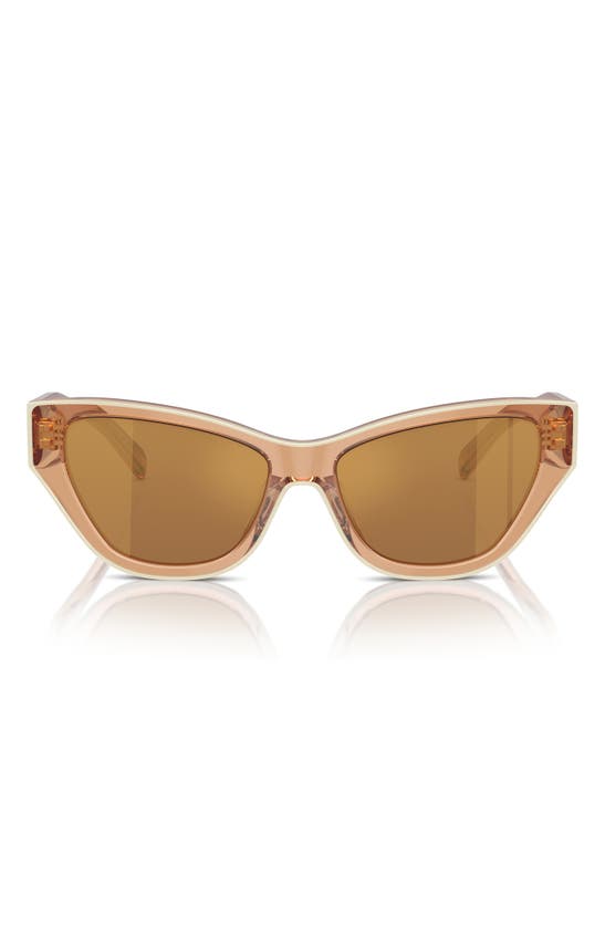 Tory Burch 54mm Cat Eye Sunglasses In Brown