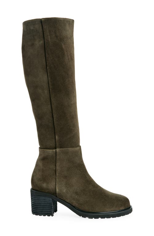 Chocolat Blu Ninna Knee High Boot In Olive Suede