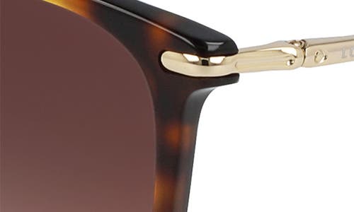 Longchamp 54mm Gradient Cat Eye Sunglasses In Havana/brown Gradient