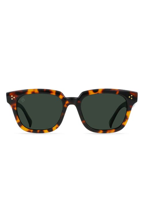 Raen Phonos 53mm Polarized Square Sunglasses In Huru/green Polar