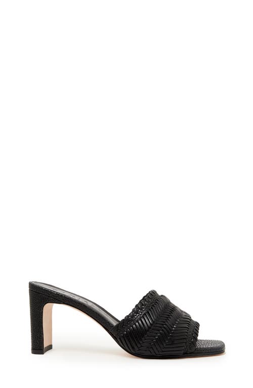 Shop Daniella Shevel Monaco Pump In Black