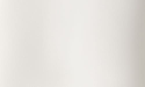 Kasper Plus Size Princess Seam Pencil Skirt In Vanilla Ice
