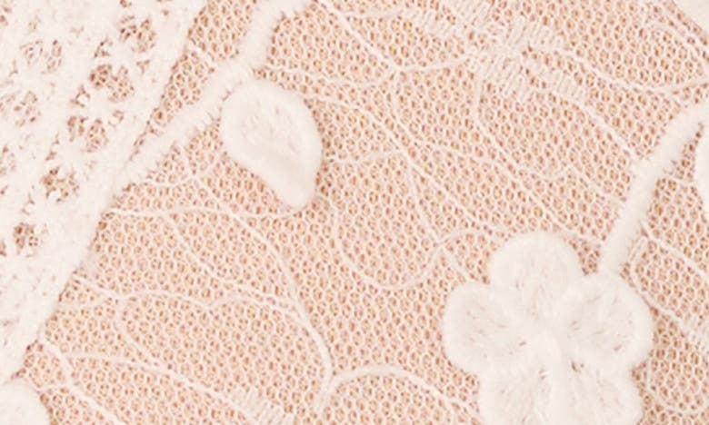 Adrianna Papell Embroidered Lace Minidress In Ivory