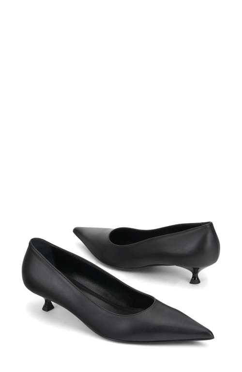 Shop Agl Attilio Giusti Leombruni Agl Lenor Pointed Toe Kitten Heel Pump In Nero-nero