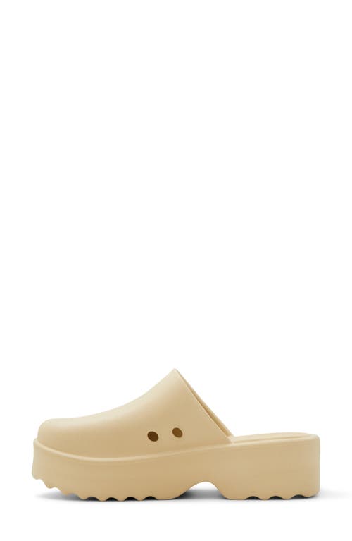 Shop Roxy Maddy Platform Clog In Parchment